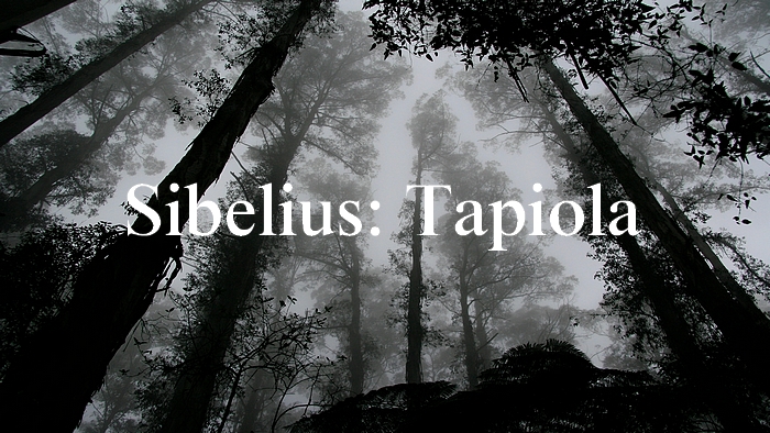 シベリウス：交響詩「タピオラ」【聴いてみよう】Sibelius: Tapiola